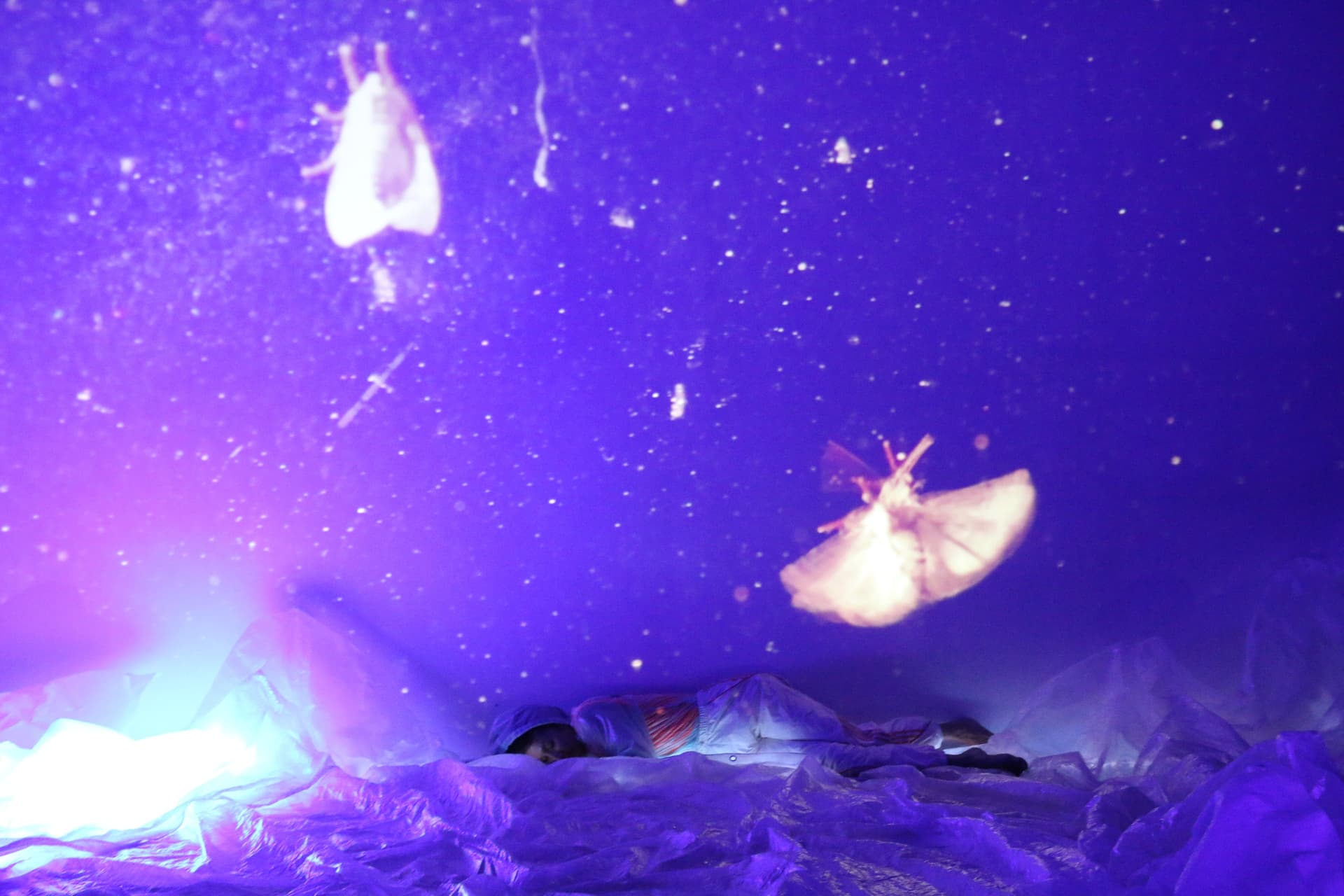 Bright Worms