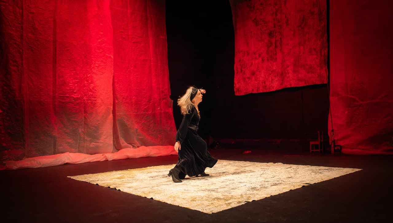 Sans collier, physiographie d'existences