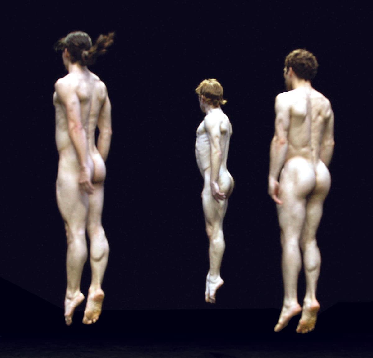 La pudeur des icebergs