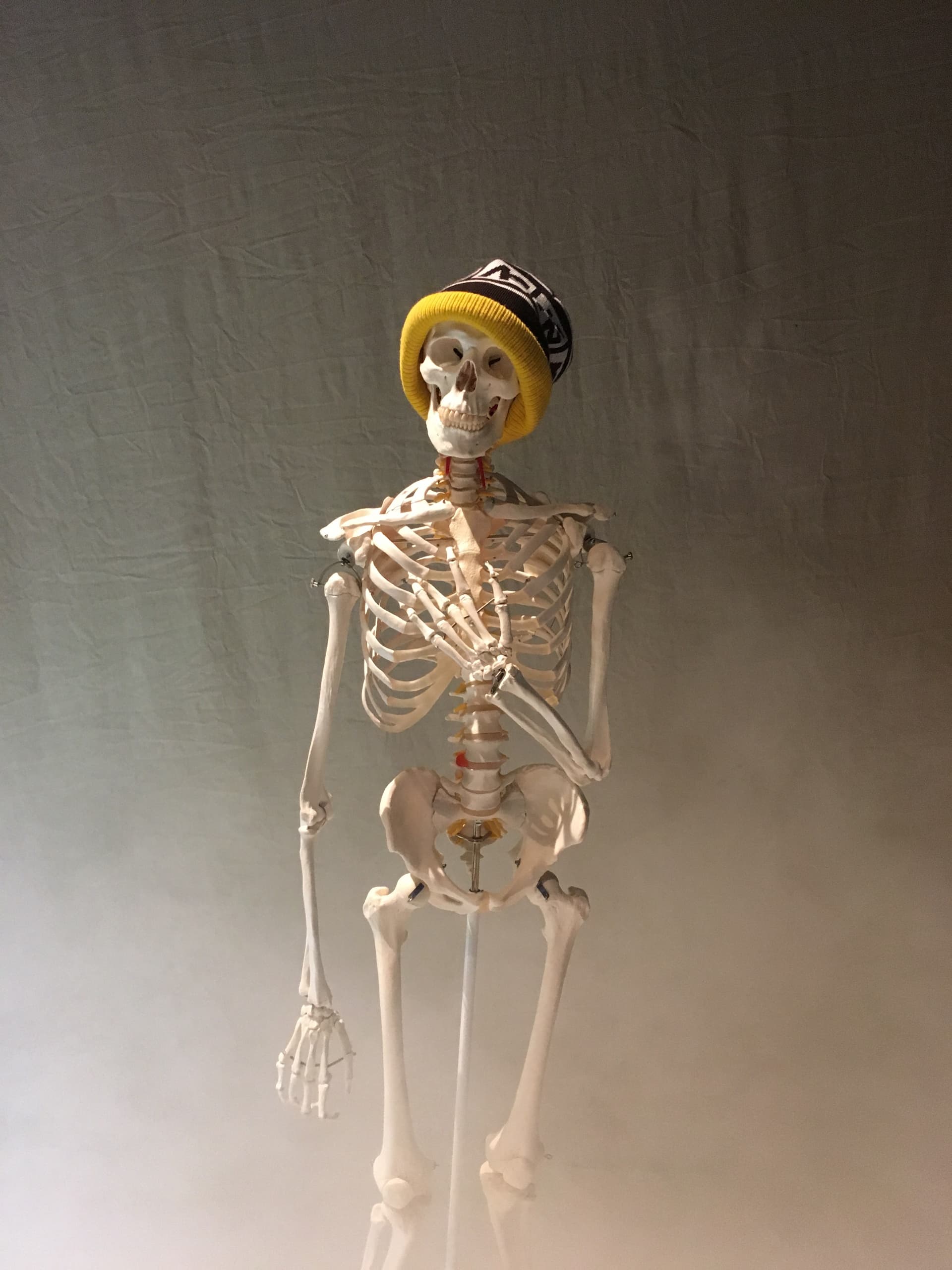 Chansons pour le musée